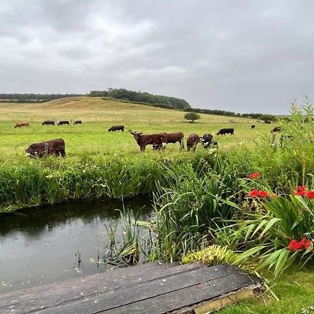 Flint Cottage Stiffkey Εξωτερικό φωτογραφία